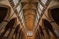 wide-angle view of a gothic cathedral ceiling