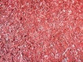 Red shredded park wood chips mulch cover Royalty Free Stock Photo