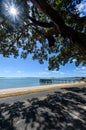 Maraetai Beach,auckland,new zealand