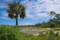 A wide angle view of a marshy area surrounded by trees at Wakulla Springs Florida Royalty Free Stock Photo