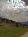 Wide angle view of mountain trees in the vallley of ChochoÃâÃÂ³w located in Zakopane, Poland