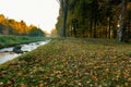 Wide-angle view of a muskeg pond with ditch-water in the shadow of trees on a summer day: plenty of branches, plants Royalty Free Stock Photo