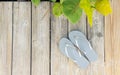 Grey Flip Flop sandals set on a sunny beach side boardwalk.  Wide angle Royalty Free Stock Photo