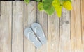 Grey beach sandles on a sunny beach side boardwalk.  Wide angle Royalty Free Stock Photo