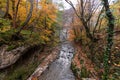 Wide angle view of a river with small waterfalls in the heart of a forest - autumn view with great fall colors Royalty Free Stock Photo