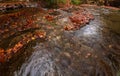 Wide angle view of a river with small waterfalls in the heart of a forest - autumn view with great fall colors Royalty Free Stock Photo