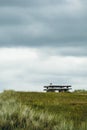 Seagull on a pic nic table Royalty Free Stock Photo