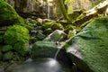 A small waterfall with a creek running between moss covered rocks