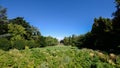 Wide angle view of summer at Parco Sempione in Milan, Lombardy, Italy.