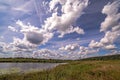 Wide angle view of a summer swamp and cloud reflections in water among yellow water lilies Royalty Free Stock Photo