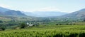 Beautiful Panoramic View Of The Golden Mile Bench in Oliver, British Columbia Royalty Free Stock Photo