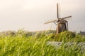 Wide angle view of a windmill surrounded by a cane thicket