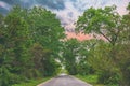 Wide asphalt road between dense green trees, summer travel trip