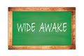 WIDE  AWAKE text written on green school board Royalty Free Stock Photo