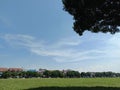 wide and beautiful field during the day