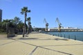 a wide city embankment with palm trees. Cadiz