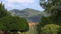 Winery Farm Landscape, Codorniu, Penedes, Spain