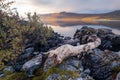 Wide closeup shot of white tree trunk lying on rock on lake shore. Golden hour shot of the lake and mountain reflecting