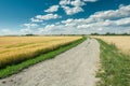 Wide dirt road through fields with grain, horizon and white clouds on a blue sky Royalty Free Stock Photo