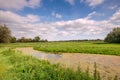 Wide ditch with duckweed in a beautiful green meadow landscape w