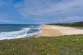 Wide endless golden sand beach with a wildflower meadow in the foreground