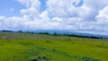 wide expanse of grass and rice fields and views of the blue sky