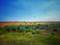 Wide expanses of wildernes Royalty Free Stock Photo