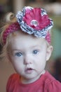 Wide-eyed toddler girl Royalty Free Stock Photo