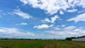 A wide famer agriculture land of rice plantation farm after harvest season, under beautiful white fluffy cloud formation