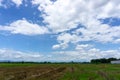 A wide famer agriculture land of rice plantation farm after harvest season, under beautiful white fluffy cloud formation