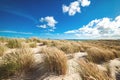 The wide dunes at Skagen in northern Denmark Royalty Free Stock Photo