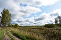 Wide field road turn, forest blue sky white clouds green Royalty Free Stock Photo