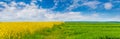 Wide field with yellow rapeseed flowers and green grass, picturesque sky over the field on a sunny spring day Royalty Free Stock Photo