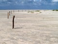 Wide focus shot of wooden posts in a desolate beach area