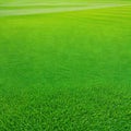 Wide format background image of green carpet of neatly trimmed Beautiful grass ure on bright green mowed grassplot in