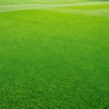 Wide format background image of green carpet of neatly trimmed Beautiful grass ure on bright green mowed grassplot in