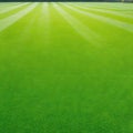 Wide format background image of green carpet of neatly trimmed Beautiful grass ure on bright green mowed grassplot in