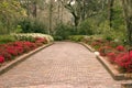 Wide garden walkway