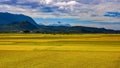 Wide golden rice fields and rolling mountains and cloudscapes