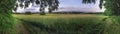 Wide grassland panorama with distant mountains