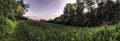 Wide grassland panorama