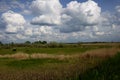 Wide green meadow with bright blue sky, beautiful cumulus clouds, summer background Royalty Free Stock Photo