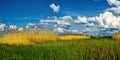 Wide green meadow with bright blue sky, beautiful cumulus clouds, summer background Royalty Free Stock Photo