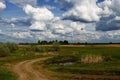 Wide green meadow with bright blue sky, beautiful cumulus clouds, summer background Royalty Free Stock Photo