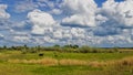 Wide green meadow with bright blue sky, beautiful cumulus clouds, summer background Royalty Free Stock Photo