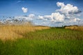 Wide green meadow with bright blue sky, beautiful cumulus clouds, summer background Royalty Free Stock Photo