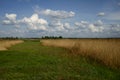 Wide green meadow with bright blue sky, beautiful cumulus clouds, summer background Royalty Free Stock Photo