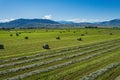 Wide Hay Field in American West Royalty Free Stock Photo