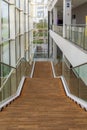 Wide and high wooden stairs of modern long staircase inside modern expo building