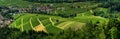 Wide hires panoramic landscape view of Black Forest vineyard valley, aerial